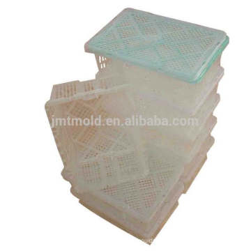 Normale Angepasste Injetion Mould Plastic Crate Mould